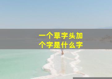 一个草字头加个字是什么字