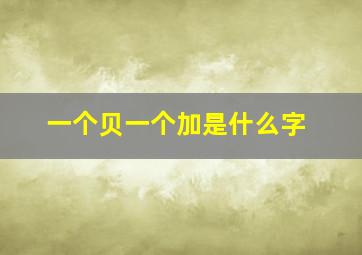 一个贝一个加是什么字