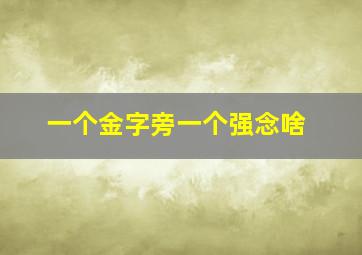 一个金字旁一个强念啥