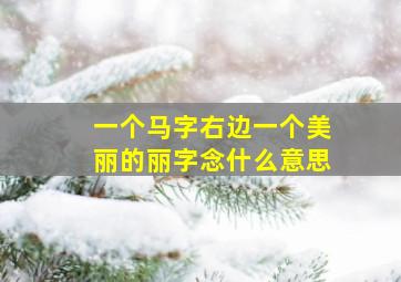 一个马字右边一个美丽的丽字念什么意思