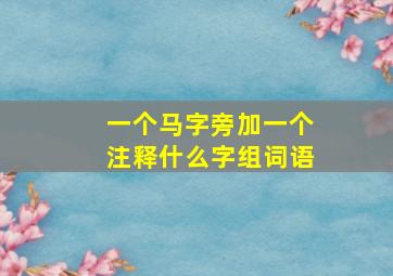 一个马字旁加一个注释什么字组词语