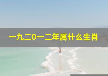 一九二0一二年属什么生肖