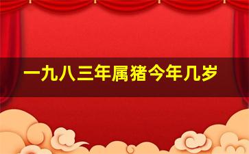 一九八三年属猪今年几岁