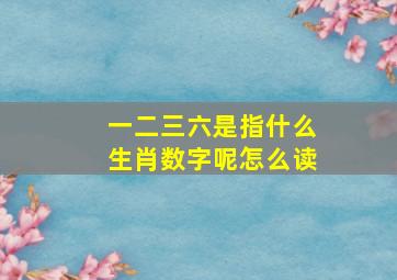 一二三六是指什么生肖数字呢怎么读