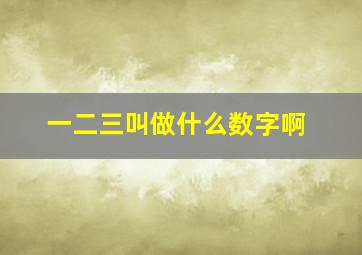 一二三叫做什么数字啊