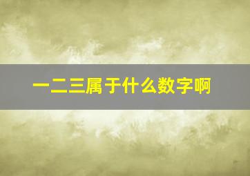 一二三属于什么数字啊