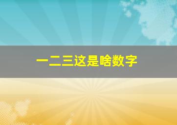 一二三这是啥数字