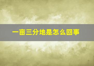 一亩三分地是怎么回事