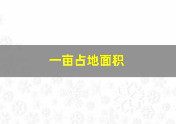 一亩占地面积