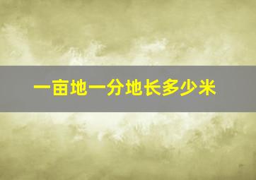 一亩地一分地长多少米