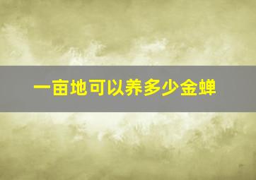 一亩地可以养多少金蝉