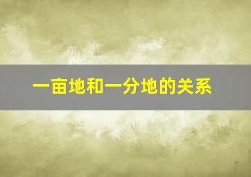 一亩地和一分地的关系