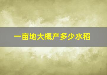 一亩地大概产多少水稻