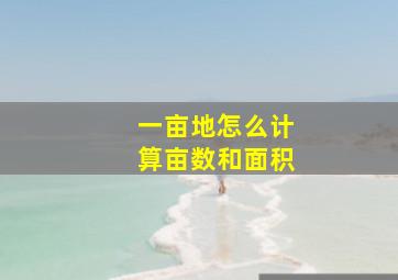 一亩地怎么计算亩数和面积