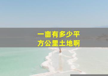 一亩有多少平方公里土地啊