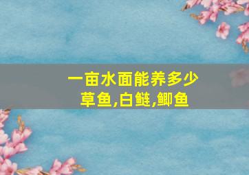 一亩水面能养多少草鱼,白鲢,鲫鱼