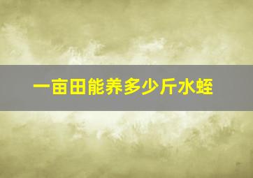 一亩田能养多少斤水蛭