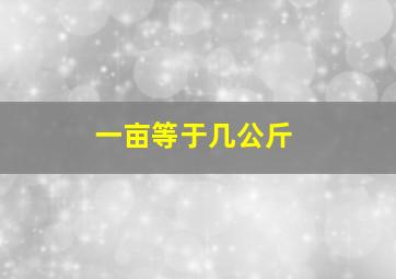 一亩等于几公斤