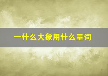 一什么大象用什么量词