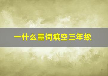 一什么量词填空三年级