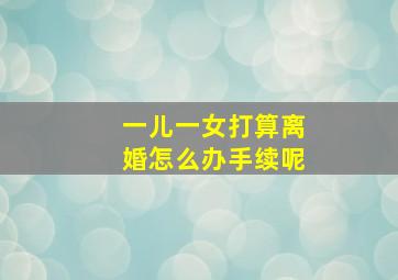 一儿一女打算离婚怎么办手续呢