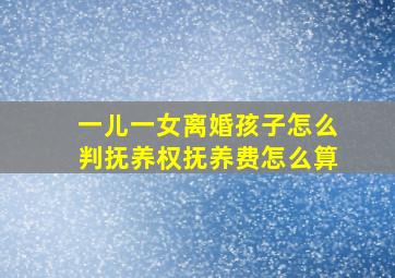 一儿一女离婚孩子怎么判抚养权抚养费怎么算