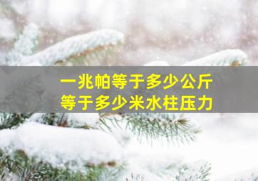 一兆帕等于多少公斤等于多少米水柱压力