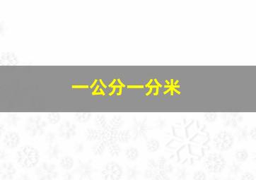 一公分一分米