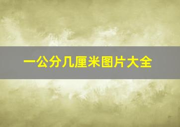 一公分几厘米图片大全