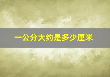 一公分大约是多少厘米