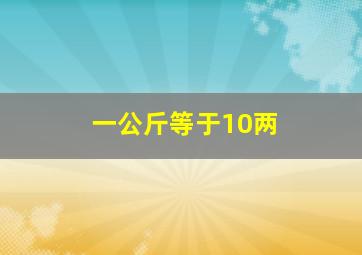 一公斤等于10两