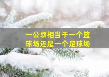 一公顷相当于一个篮球场还是一个足球场