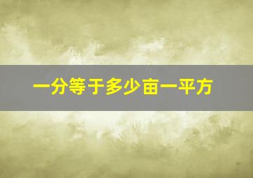 一分等于多少亩一平方