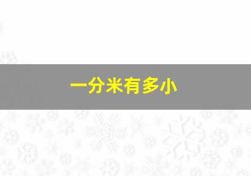 一分米有多小