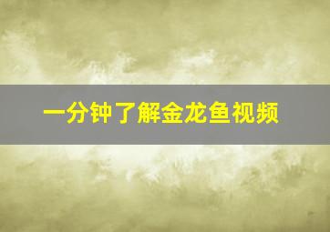 一分钟了解金龙鱼视频