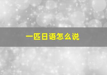 一匹日语怎么说