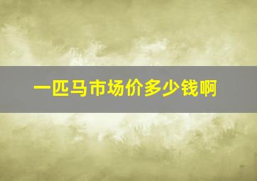 一匹马市场价多少钱啊