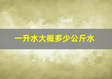 一升水大概多少公斤水