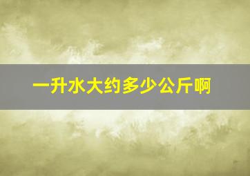 一升水大约多少公斤啊