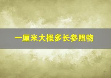 一厘米大概多长参照物