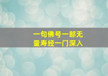 一句佛号一部无量寿经一门深入