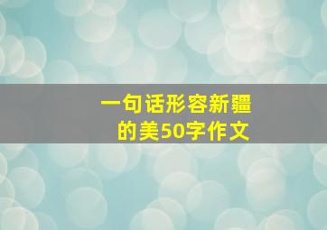 一句话形容新疆的美50字作文