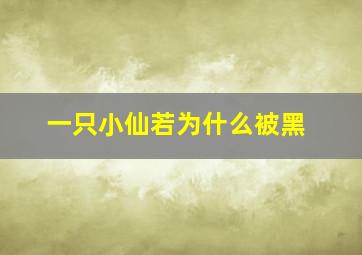 一只小仙若为什么被黑