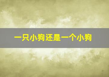 一只小狗还是一个小狗