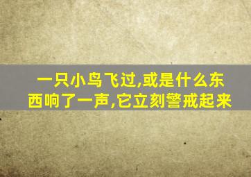 一只小鸟飞过,或是什么东西响了一声,它立刻警戒起来