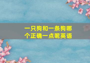 一只狗和一条狗哪个正确一点呢英语