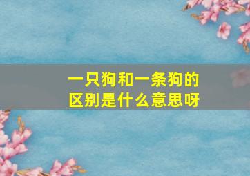 一只狗和一条狗的区别是什么意思呀