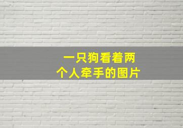 一只狗看着两个人牵手的图片