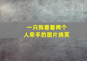 一只狗看着两个人牵手的图片搞笑