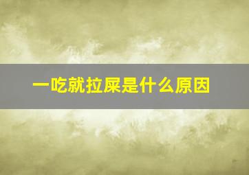 一吃就拉屎是什么原因